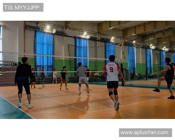 杭州排球队在全国排球配合排行榜中荣获第5名展现团队实力与默契