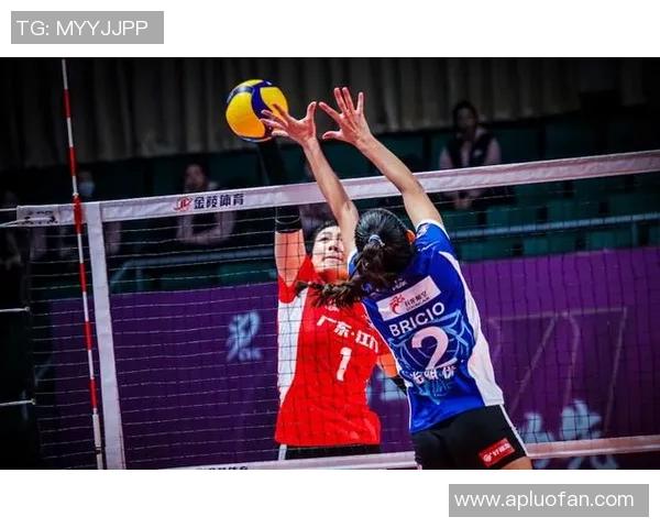 杭州排球队的转型之路探索与挑战并存的崛起之旅