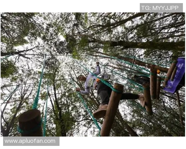 杭州攀岩队在极限运动会中的力量展现与技术分析