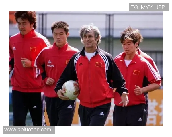 杭州排球队攻势变革揭秘助力球队迈向新辉煌