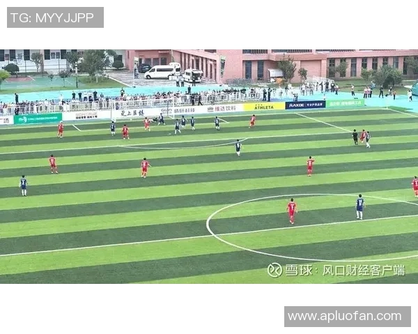 第戎与南特激战正酣球迷期待精彩对决与进球盛宴 第戎与南特激战正酣球迷期待精彩对决与进球盛宴