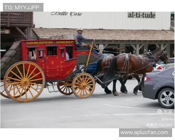 盐湖城与达拉斯的时差解析及最佳观赛时间推荐