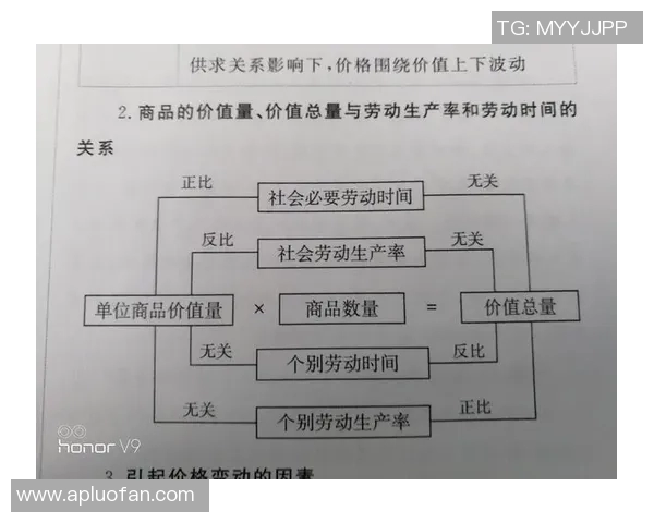 马素与有但的对决探讨两者在现代社会中的影响与价值