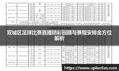 双城区足球比赛直播精彩回顾与赛程安排全方位解析