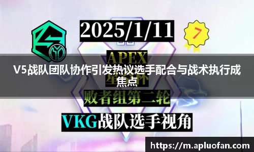 V5战队团队协作引发热议选手配合与战术执行成焦点