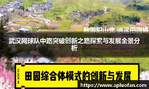 武汉网球队中路突破创新之路探索与发展全景分析