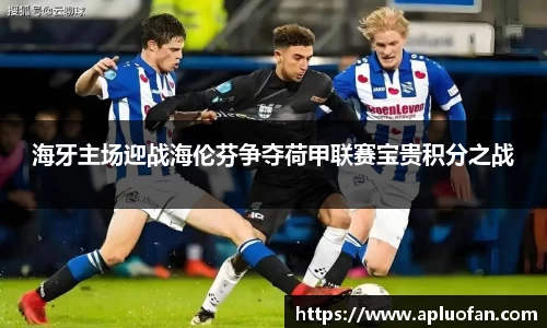 今年会平台入口