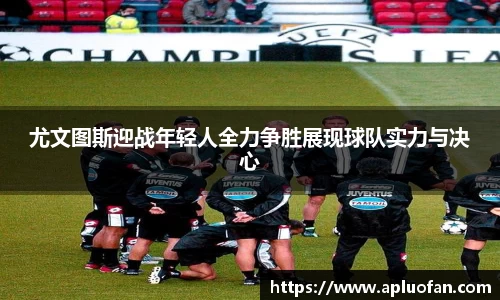 今年会官网